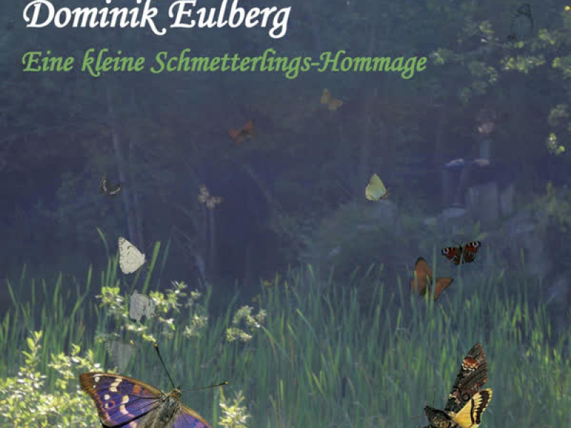 Eine kleine Schmetterlings-Hommage