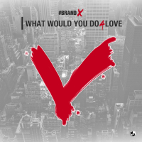 What Would You Do 4 Love