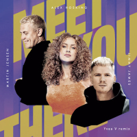 Meet You There (Yves V Remix) (Single)