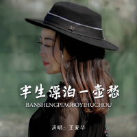 半生漂泊一壶愁 (Single)