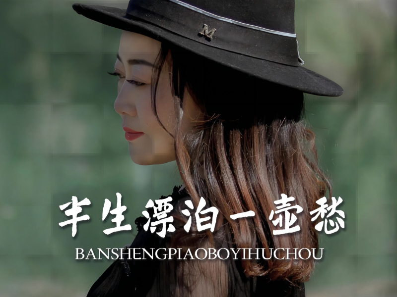 半生漂泊一壶愁 (Single)