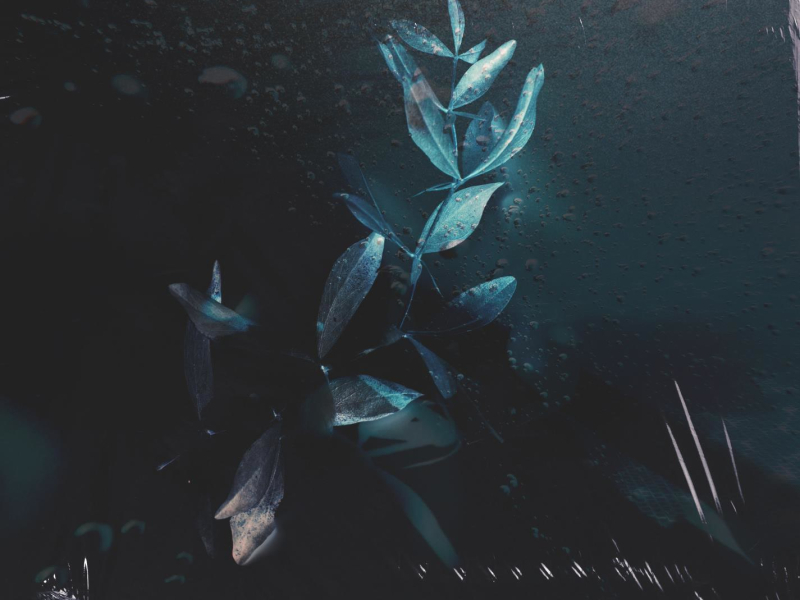 Pulling Me Under (Single)