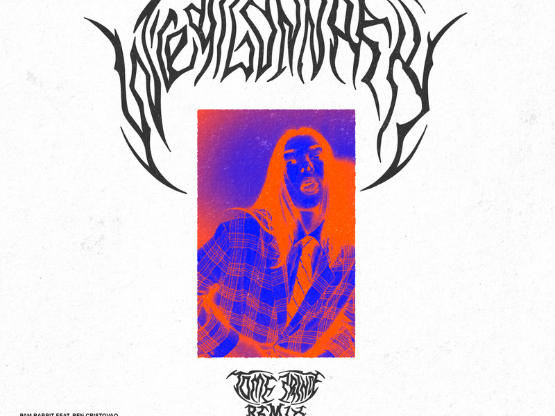 We're All Gonna Fly (Tome Prince Remix) (Single)