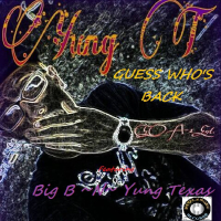 Guess Who's Back (feat. Big B) (Single)