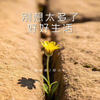 别想太多了 好好生活 (Single)