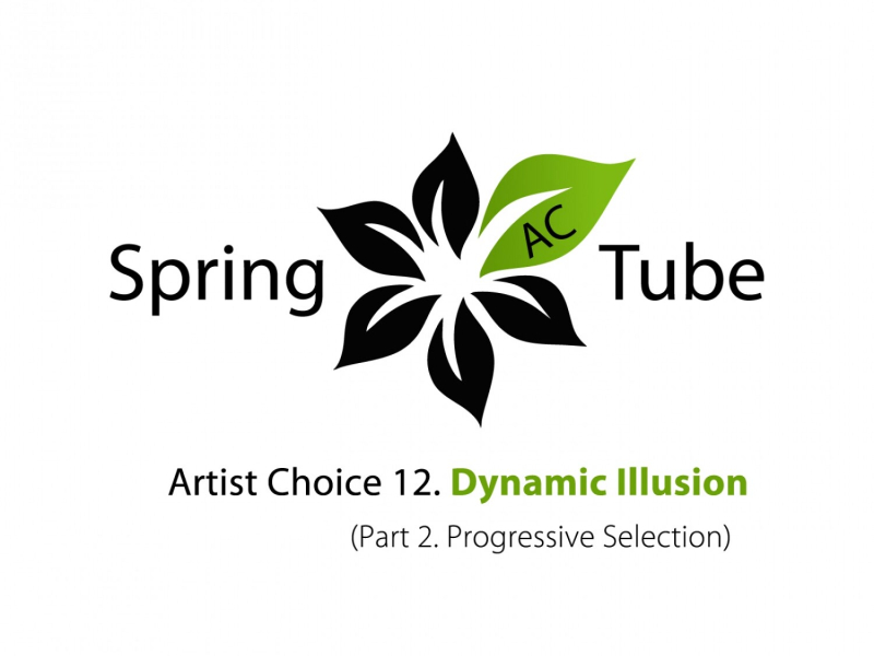 Artist Choice 012. Dynamic Illusion, Pt. 2 (Progressive Selection)