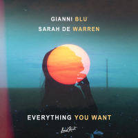 Everything You Want (Single)