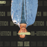 Letting Go (Kyros Remix) (Single)