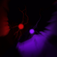 The Automotivo Infernal 1.0 (EP)