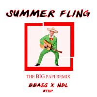 Summer Fling (The Big Papi Remix)