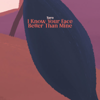 I Know Your Face Better Than Mine (Single)