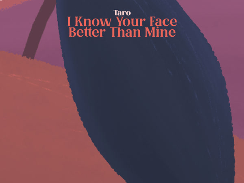 I Know Your Face Better Than Mine (Single)