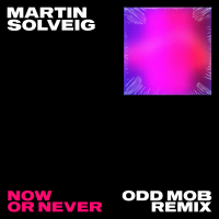 Now Or Never (Odd Mob Remix) (Single)