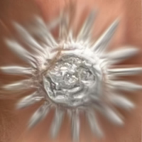 hello sunshine (Single)