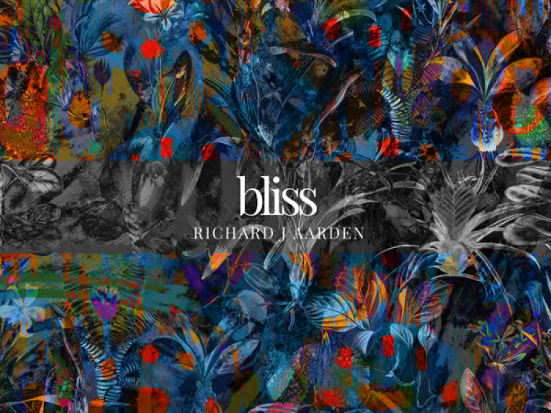 Bliss (Single)