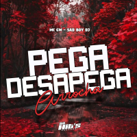 Pega Desapega (Arrocha) (Single)