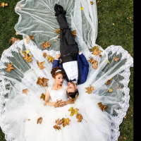 Coronary Artery (Single)