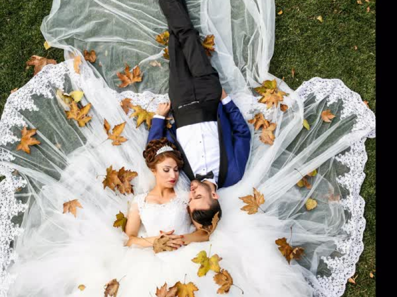 Coronary Artery (Single)