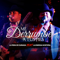 Me Derrumbé a Tus Pies (Single)