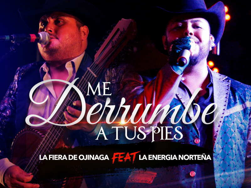 Me Derrumbé a Tus Pies (Single)