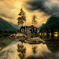 Felicity (Radio Edit) (Single)