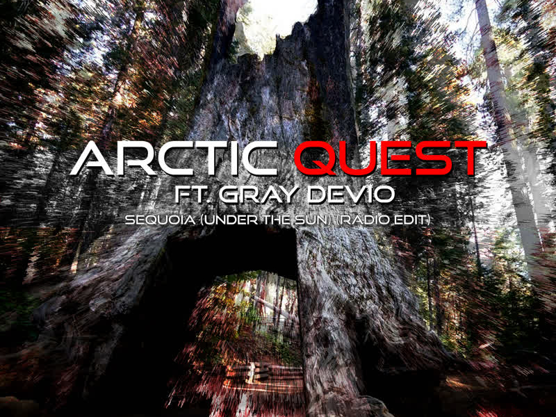 Sequoia (Under the Sun) (Single)