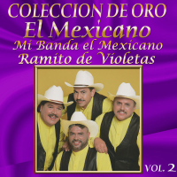 Coleccíon De Oro, Vol. 2: Ramito De Violetas