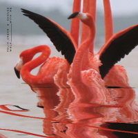 Walk With Me (Single)