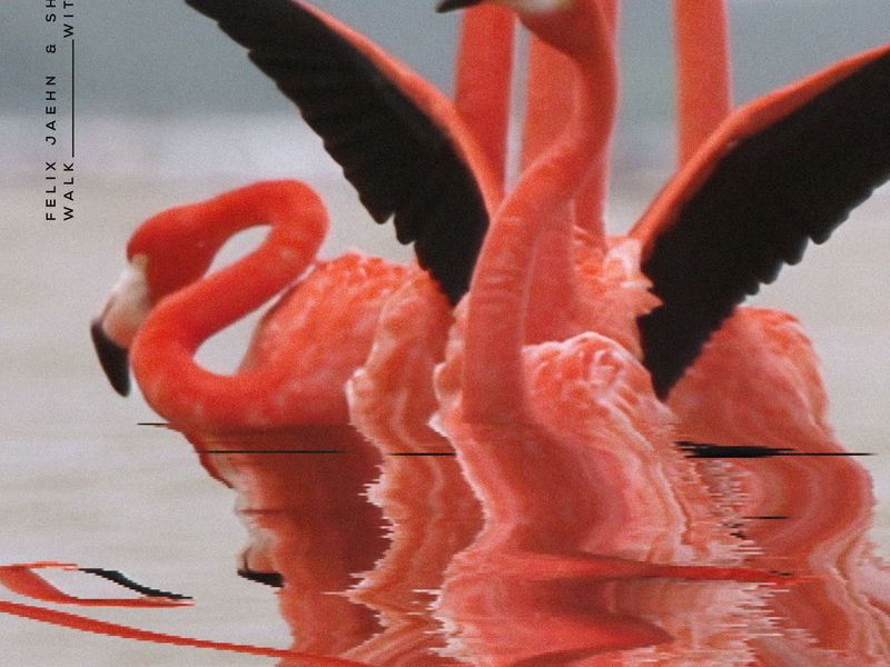 Walk With Me (Single)