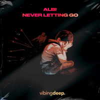 Never Letting Go (Single)