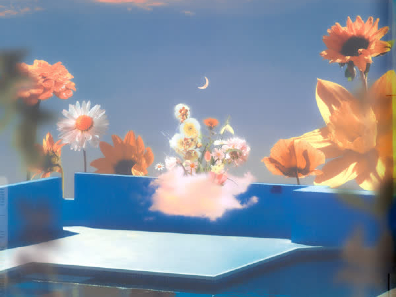 Marry Me In Island (Single)