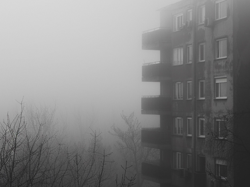 در سکوت شب (Single)