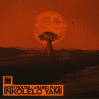 Inkolelo Yami (Single)