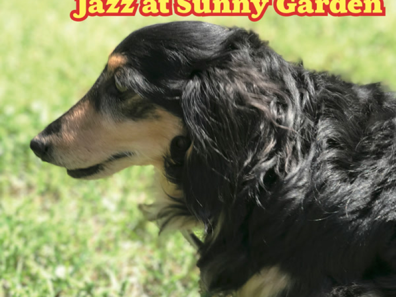 Spring Jazz Selection Jazz at Sunny Garden