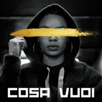 cosa vuoi (Single)