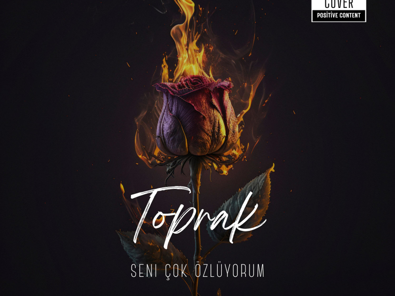 Seni çok özlüyorum (Single)