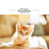 Afternoon Sunshine (Single)