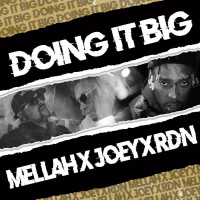 Doing It Big (Single)