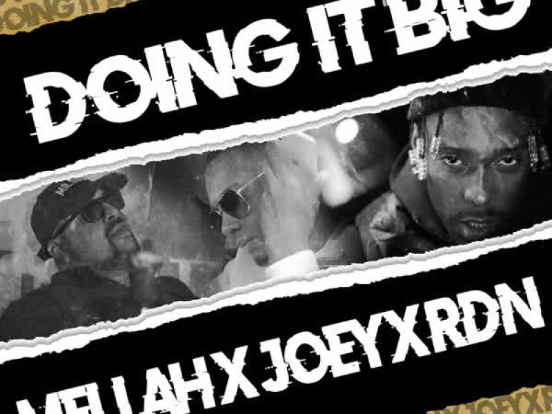 Doing It Big (Single)