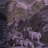 SUM FRNDS IN THE INDUSTRY (Single)