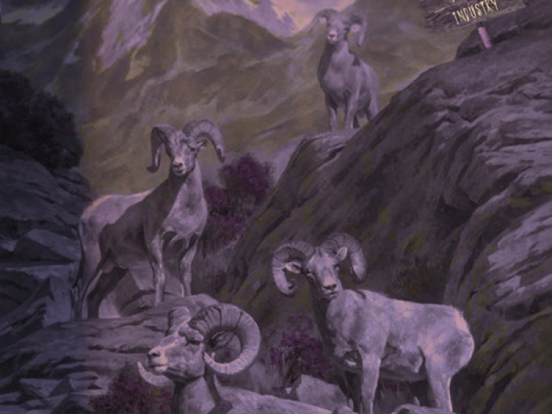 SUM FRNDS IN THE INDUSTRY (Single)