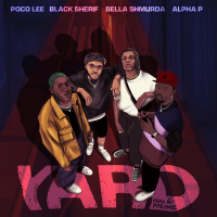 YARD (feat. Black Sherif, Bella Shmurda & Alpha P) (Single)