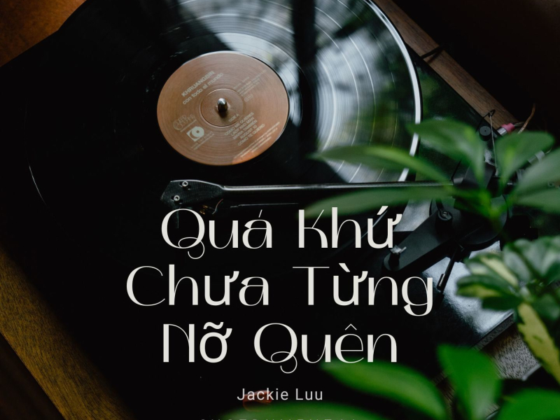 Quá Khứ Chưa Từng Nỡ Quên (Instrumental) (Single)