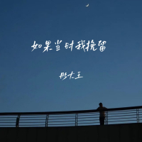 如果当时我挽留 (Single)