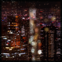 The City in Rain (Single)