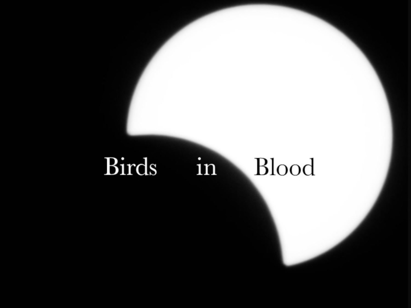 Birds in Blood (Live) (Single)