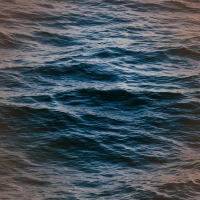 Calm Ocean Waves and Seagulls sounds for Relaxation and Better Sleep (Single)