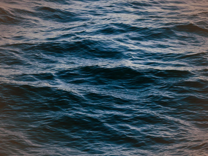 Calm Ocean Waves and Seagulls sounds for Relaxation and Better Sleep (Single)