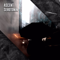 Serotonin (Single)