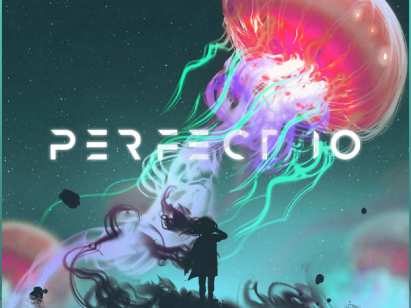 Perfect 10 (Unknown Brain & RudeLies VIP) (Single)